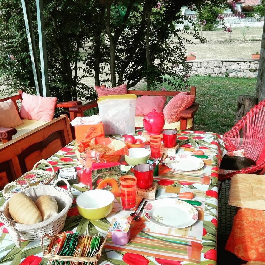 B&B Il Tempo Del Sogno Con Cani E Gatti Pet&Breakfast Baveno Extérieur photo