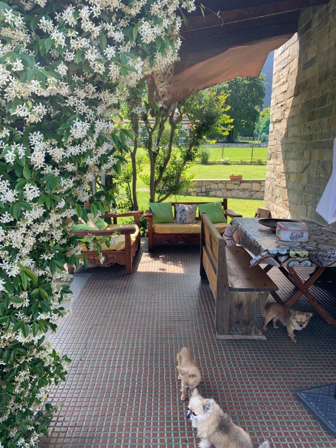 B&B Il Tempo Del Sogno Con Cani E Gatti Pet&Breakfast Baveno Extérieur photo
