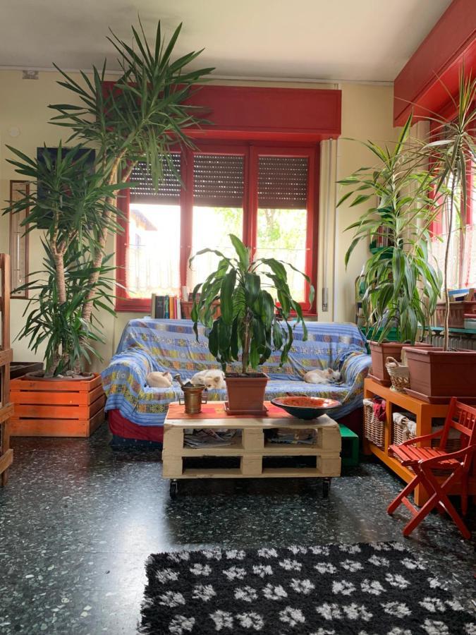 B&B Il Tempo Del Sogno Con Cani E Gatti Pet&Breakfast Baveno Extérieur photo