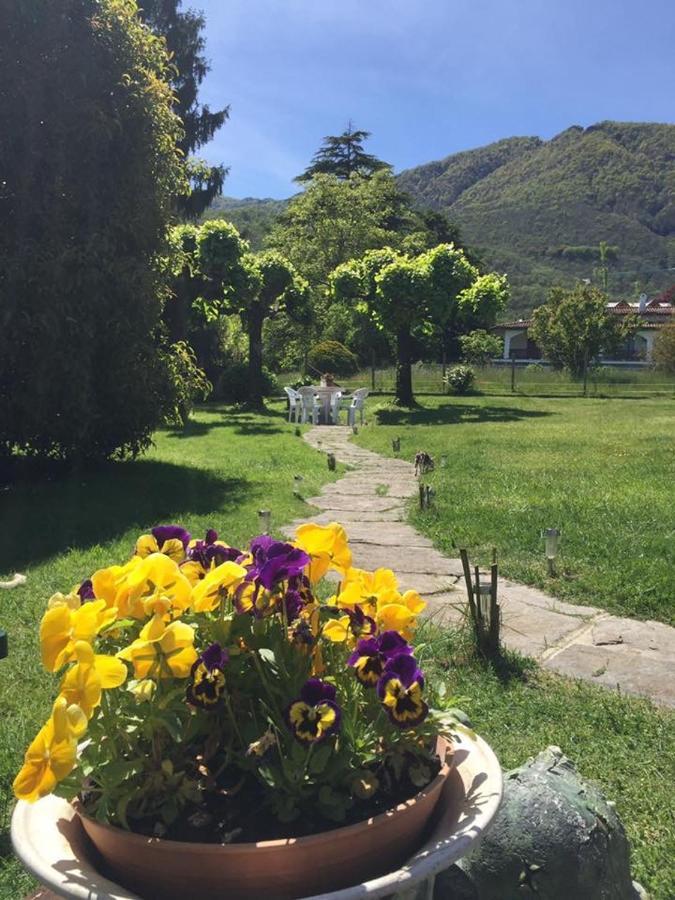 B&B Il Tempo Del Sogno Con Cani E Gatti Pet&Breakfast Baveno Extérieur photo
